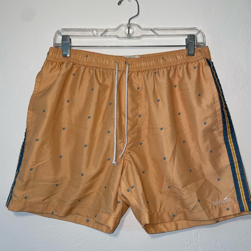 men’s polka dot swim shorts